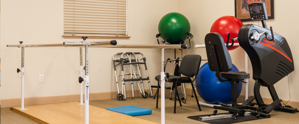 Live Oak Physical Therapy